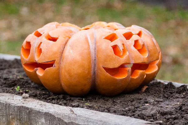 Oyma ve boyalı Cadılar Bayramı Balkabağı