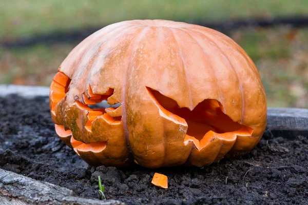 Oyma ve boyalı Cadılar Bayramı Balkabağı