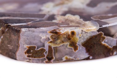 Beyaz arka plan üzerinde makro mineral taş akik Dendroagate