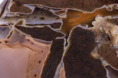 Beyaz arka plan üzerinde makro mineral taş akik Dendroagate