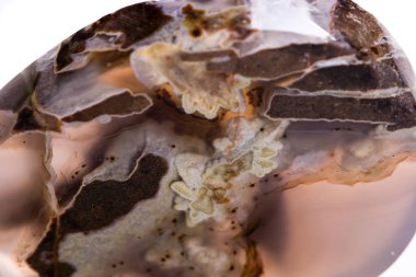 Beyaz arka plan üzerinde makro mineral taş akik Dendroagate