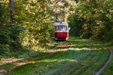 Tramvay ve renkli ormandaki tramvay rayları
