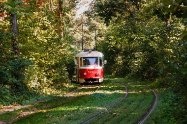 Tramvay ve renkli ormandaki tramvay rayları