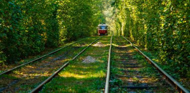 Tramvay ve renkli ormandaki tramvay rayları