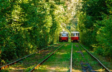 Tramvay ve renkli ormandaki tramvay rayları