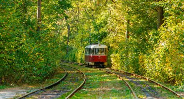 Tramvay ve renkli ormandaki tramvay rayları
