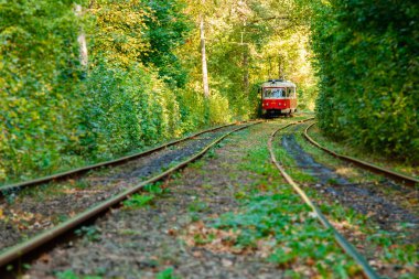 Tramvay ve renkli ormandaki tramvay rayları