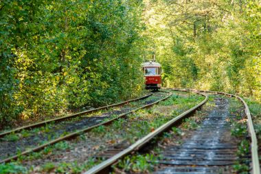 Tramvay ve renkli ormandaki tramvay rayları