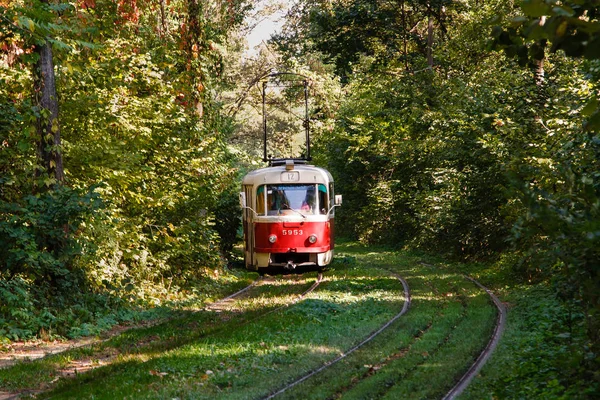 Tramwaj i tory tramwajowe w kolorowy las — Zdjęcie stockowe