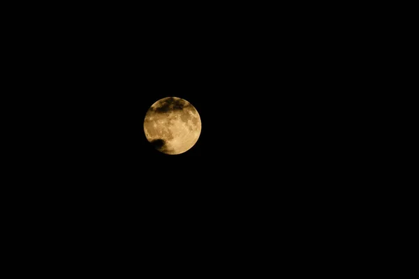 満月、ムーン イエロー — ストック写真