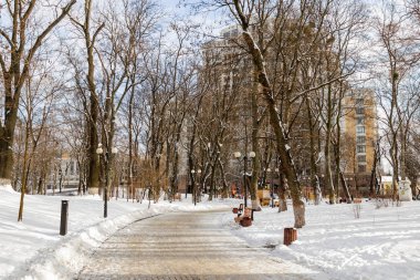 Kar kış Park boş banklar kaplı