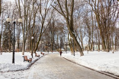 Kar kış Park boş banklar kaplı