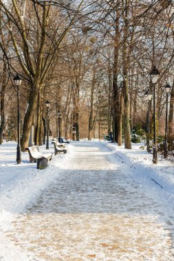 Kar kış Park boş banklar kaplı