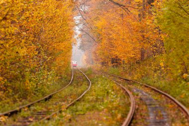 sonbahar orman hangi arasında garip bir tramvay gider 
