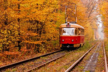 sonbahar orman hangi arasında garip bir tramvay gider 