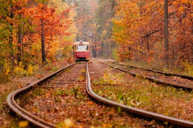sonbahar orman hangi arasında garip bir tramvay gider 