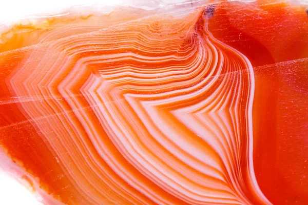 Macro minerale oranje Agaat in kristallen op witte achtergrond — Stockfoto