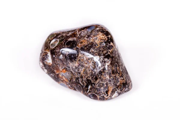 Ορυκτά ορυκτό αχάτη μακροεντολή απολιθωμένα με απολιθωμένα χελώνες σε — Φωτογραφία Αρχείου