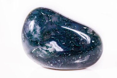 Makro mineral taş akik yosunlu (Hindistan) beyaz bir arka plan üzerinde 