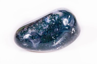 Makro mineral taş akik yosunlu (Hindistan) beyaz bir arka plan üzerinde 