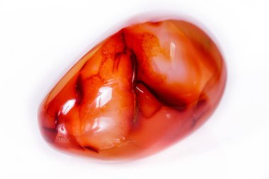 Makro mineral taş Carnelian beyaz arka plan üzerinde