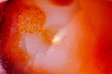 Makro mineral taş Carnelian beyaz arka plan üzerinde
