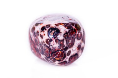 Makro mineral taş Jasper leopar beyaz arka plan üzerinde 