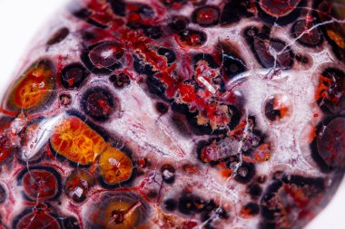 Makro mineral taş Jasper leopar beyaz arka plan üzerinde 