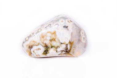 Makro mineral taş Jasper beyaz bir arka plan üzerinde okyanus 