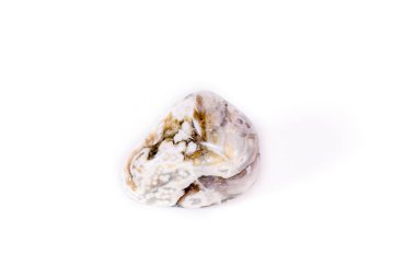 Makro mineral taş Jasper beyaz bir arka plan üzerinde okyanus 