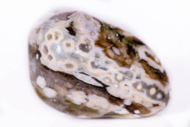 Makro mineral taş Jasper beyaz bir arka plan üzerinde okyanus 