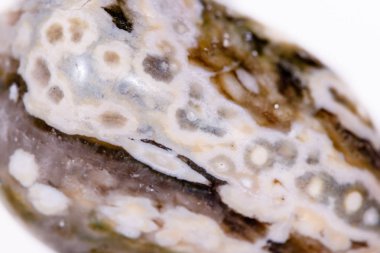 Makro mineral taş Jasper beyaz bir arka plan üzerinde okyanus 