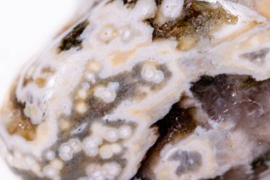 Makro mineral taş Jasper beyaz bir arka plan üzerinde okyanus 