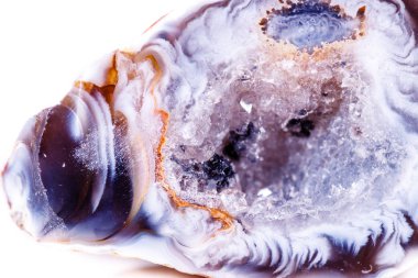 Makro mineral taş akik bud beyaz arka plan üzerinde