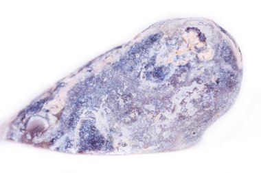 Makro mineral taş akik bud beyaz arka plan üzerinde