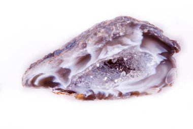 Makro mineral taş akik bud beyaz arka plan üzerinde