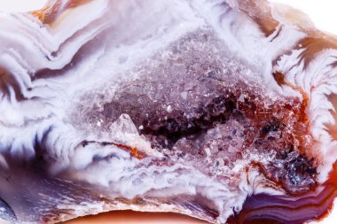 Makro mineral taş akik bud beyaz arka plan üzerinde