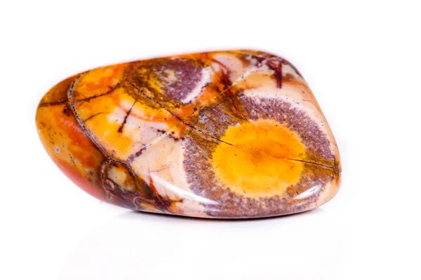 Macro piedra mineral jaspe "ojo de pájaro" sobre fondo blanco — Foto de Stock