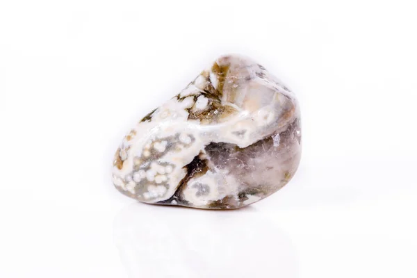 Macro piedra mineral Jasper oceánico sobre un fondo blanco — Foto de Stock