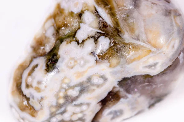 Makro mineral taş Jasper beyaz bir arka plan üzerinde okyanus 