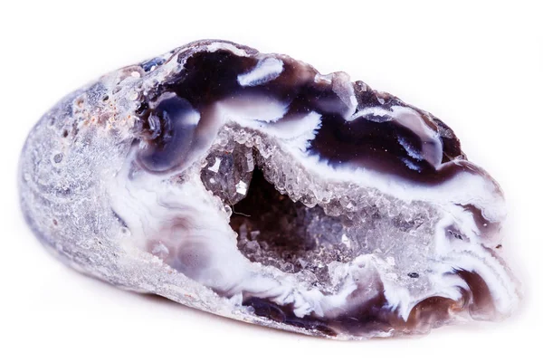 Macro mineral stone agate bud on white background — Stock Photo, Image