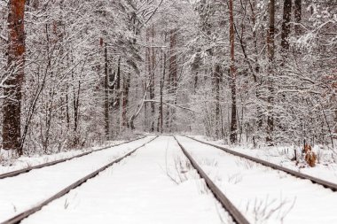 Eski bir tramvay bir kış orman yoluyla taşıma