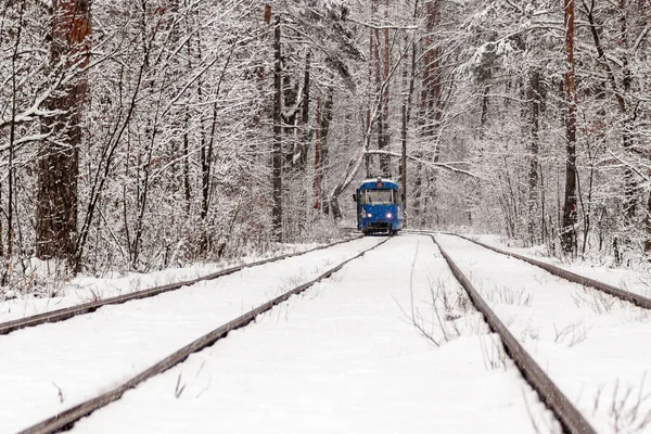 Старый трамвай, движущийся по зимнему лесу — стоковое фото
