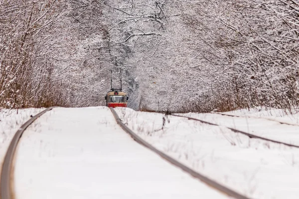 An old tram moving through a winter forest — Stock Photo, Image