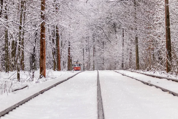 Eski bir tramvay bir kış orman yoluyla taşıma — Stok fotoğraf