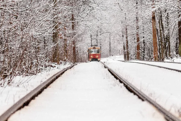 Eski bir tramvay bir kış orman yoluyla taşıma — Stok fotoğraf