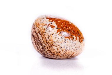 Makro mineral rock jasper manzara sandy beyaz arka plan üzerinde 