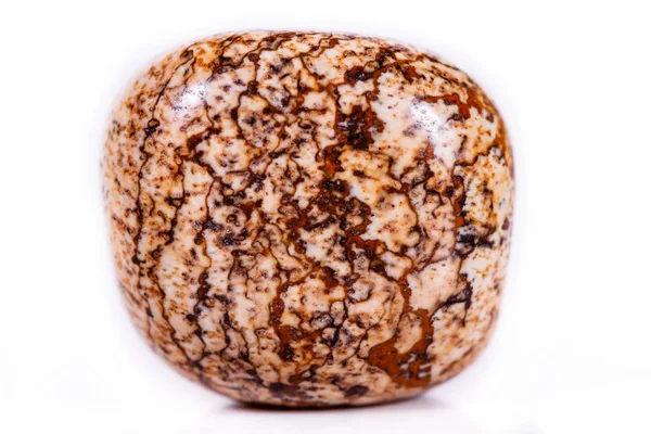 Makro mineral rock jasper manzara sandy beyaz arka plan üzerinde — Stok fotoğraf