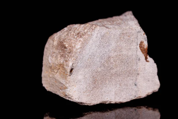 Makro ásványi kő megkövesedett fa fekete háttér — Stock Fotó