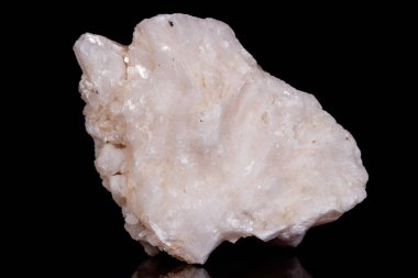 Makro mineral taş Amphibolite kuvars siyah arka plan üzerine